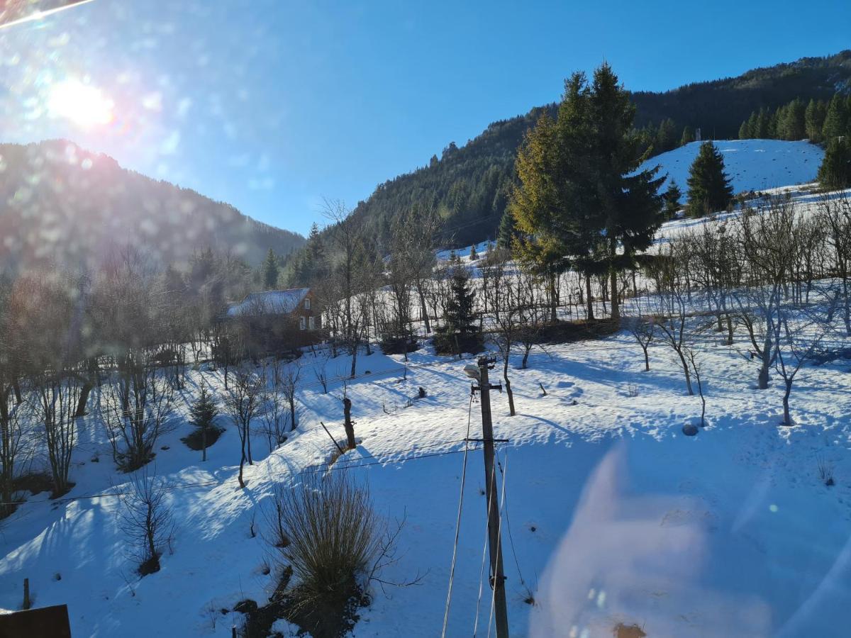 Penzion Mala Fatra U Durka ジリナ エクステリア 写真